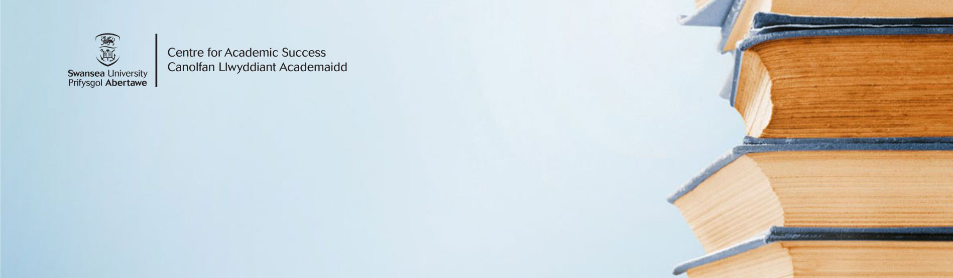 CAS Academic Integrity