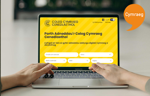 Cyflwyniad i&rsquo;r Porth