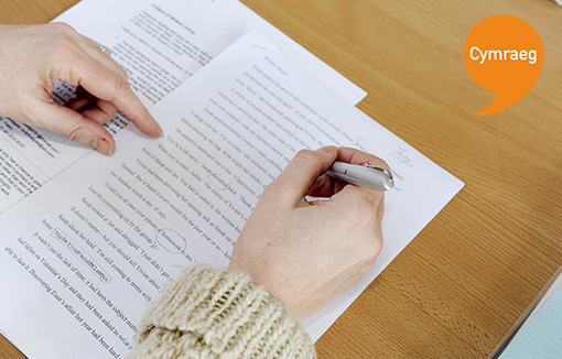 Ysgrifennu traethodau