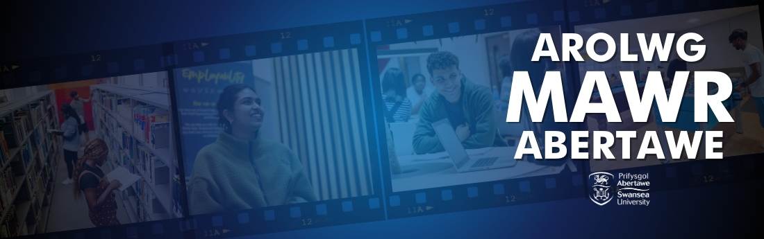 Big Swansea Survey logo. Film reel with stock images in the background.