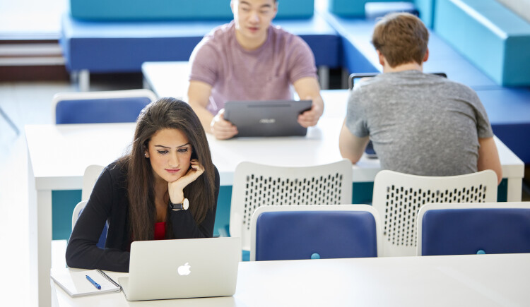 Staff on laptops