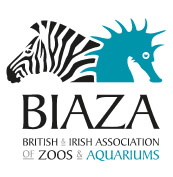 https://biaza.org.uk/jobs