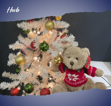 Cover image for Festive Fiesta