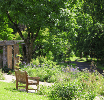 Singleton Park Botanical garden