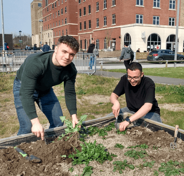 Students gardening on Bay Campus 