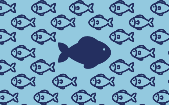 A fish swimming the opposite way to its many friends
