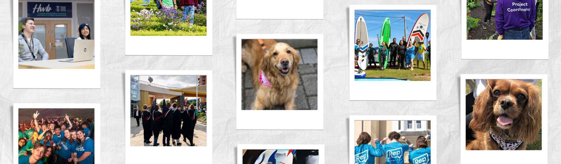 Montage of pictures - dogs, happy students, events and campus scenery